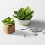 Functionarissen afdeling Oost